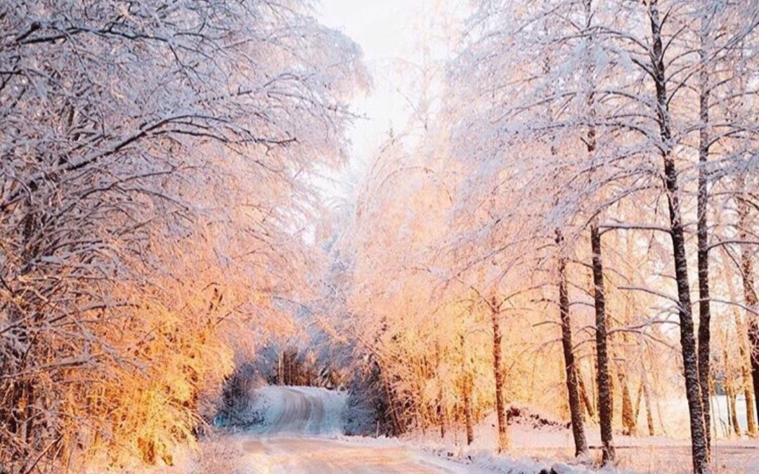 Canada Reh ke Kaun Raji by Maninder Gill Captan