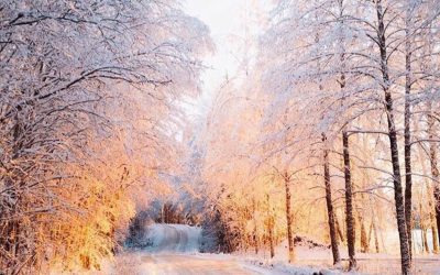 Canada Reh ke Kaun Raji by Maninder Gill Captan